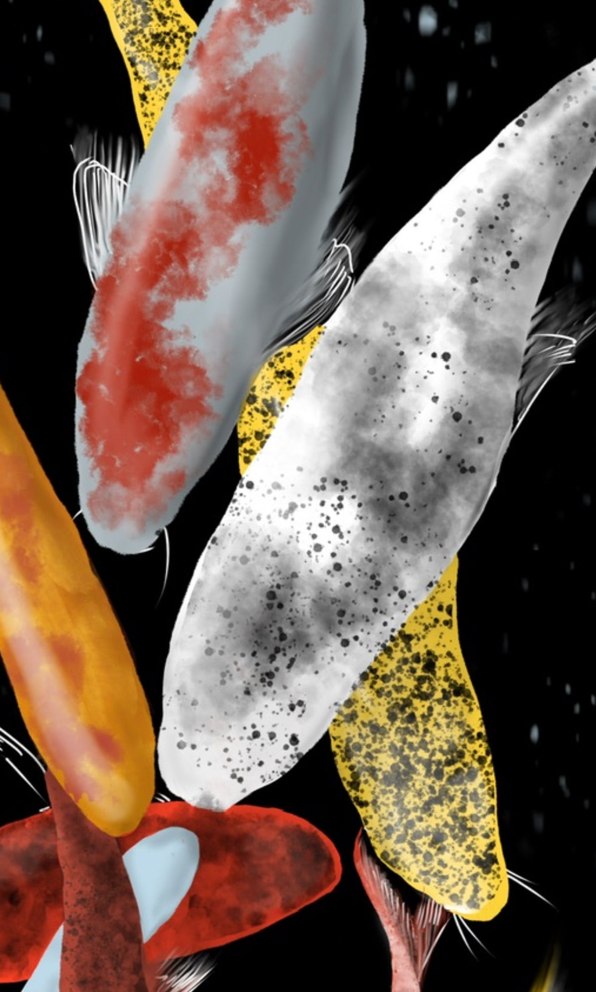 Primer plano de dos peces koi nadando con brillos en el cuerpo.
