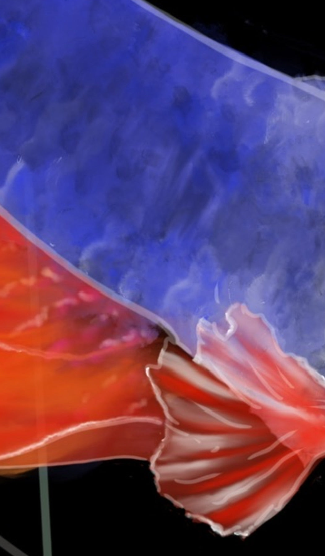 Detalle de escamas azules fusionándose con la aleta roja