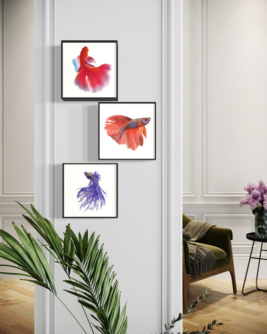 Tríptico de peces en tonos rojos, violetas y azul sobre pared blanca en interior clásico.