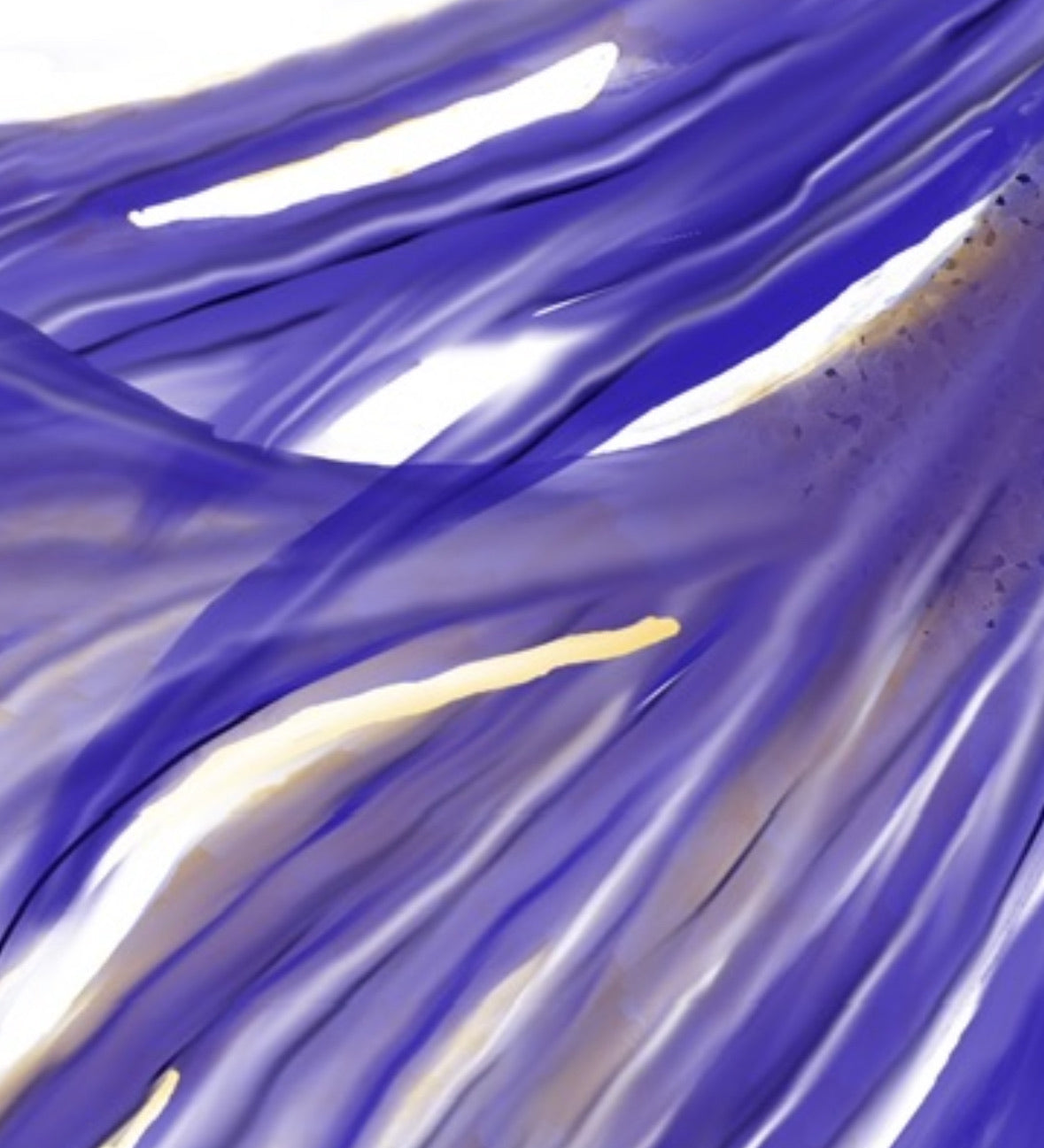 Detalle de las aletas extendidas en tonos violeta y azul sobre fondo blanco