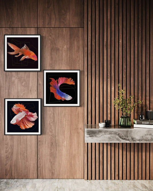 Tríptico colgado sobre panel de madera, muestra los tres peces juntos en un entorno elegante.