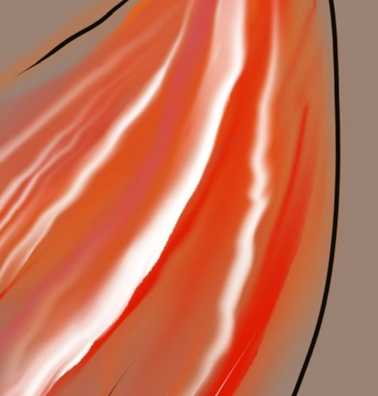 textura luminosa en la aleta del pez naranja