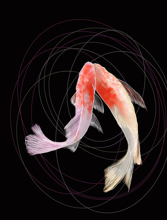 Dos peces koi de colores suaves se tocan la cabeza sobre fondo negro en una composición serena.