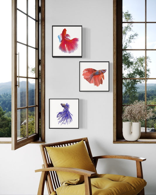 Tríptico de peces en tonos rojos, violetas y azul sobre pared blanca junto a ventana abierta.