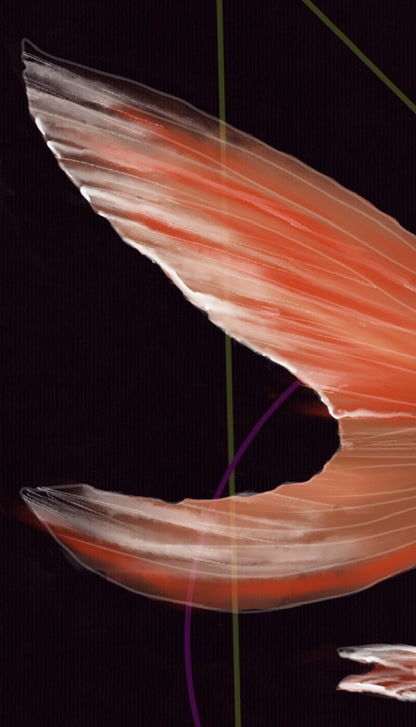 Captura cercana de las aletas traseras, con textura difusa en tonos blancos y naranjas, rodeadas de líneas geométricas.
