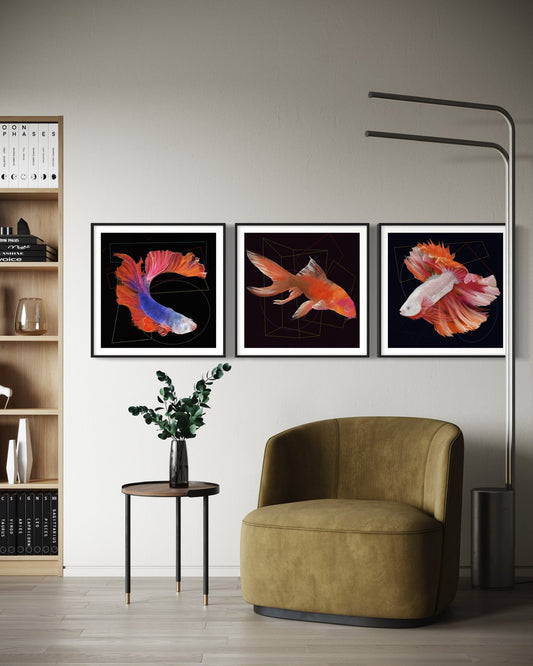 Tríptico colgado sobre panel de madera, muestra los tres peces juntos en un entorno elegante.